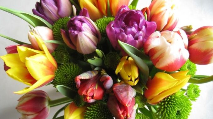 Blumen verschicken: So bleiben Schnittblumen länger frisch