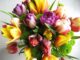 Blumen verschicken: So bleiben Schnittblumen länger frisch